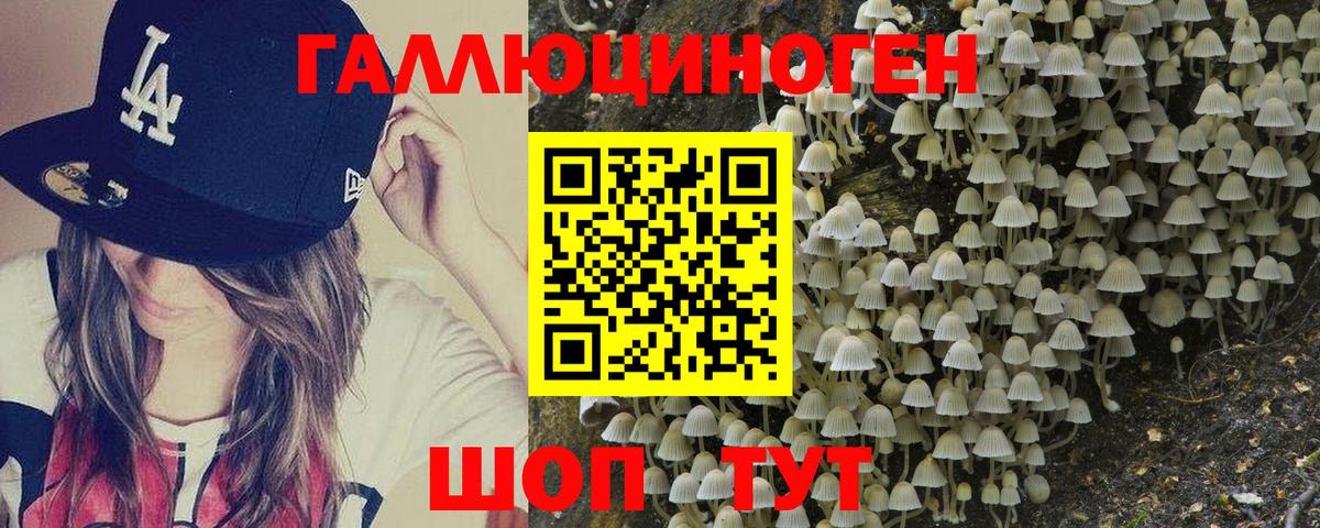 Галлюциногенные грибы MAGIC MUSHROOMS Егорьевск
